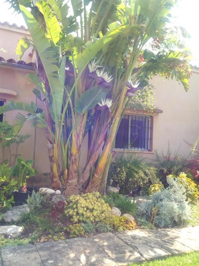 Arthouse Campos Mit Haus Galeria 110Qm Und Appartementhaus Mit Patio 30Qm מראה חיצוני תמונה