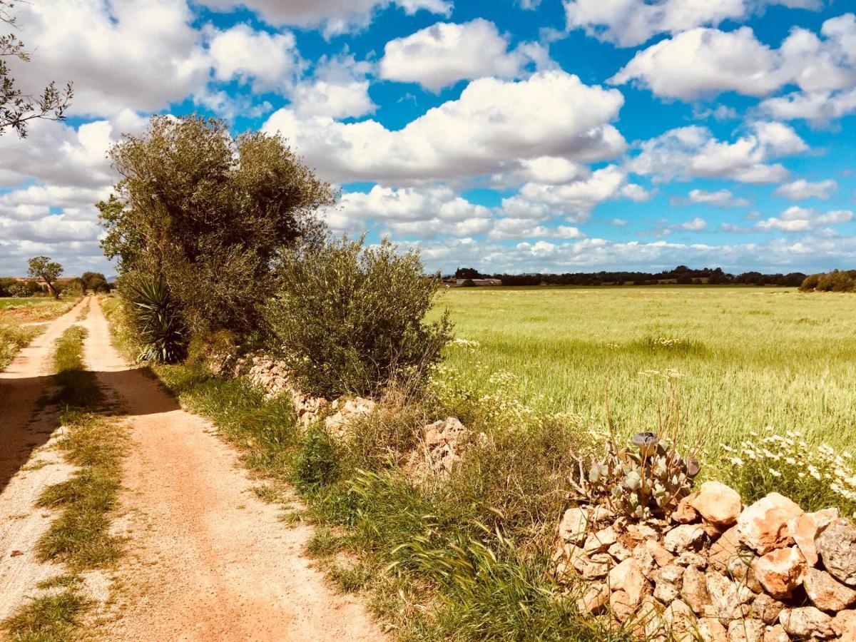 Arthouse Campos Mit Haus Galeria 110Qm Und Appartementhaus Mit Patio 30Qm מראה חיצוני תמונה